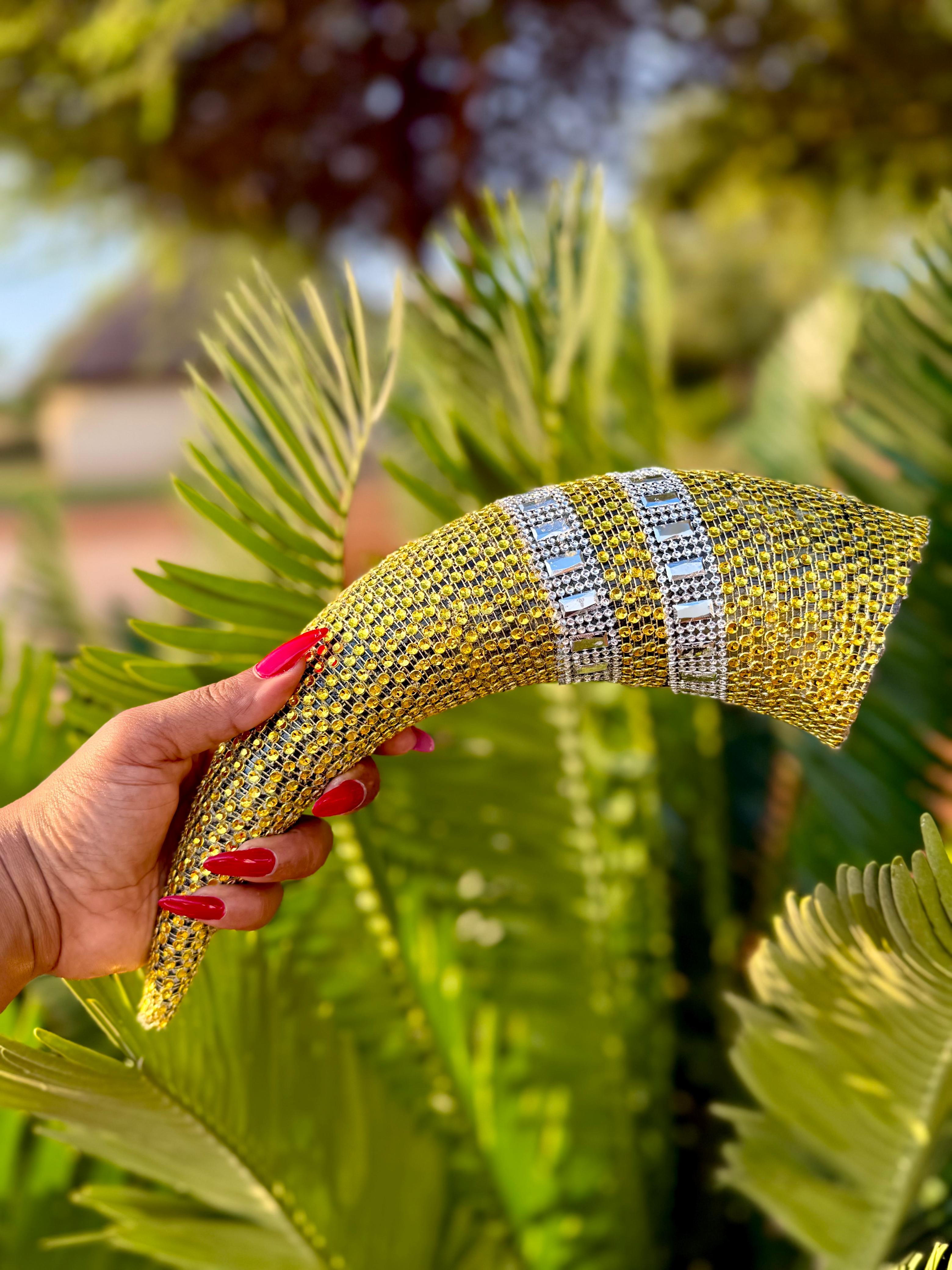 L Mdluli Swati Liphondvo